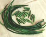 Chinese Long Beans  Symbol Of Long Life